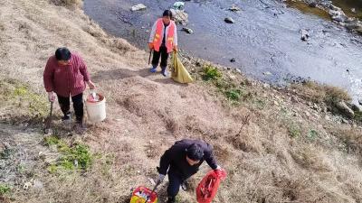 通城县大坪乡：守护岸洁水清，我们在行动