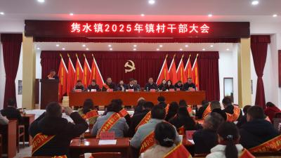【落实全县三级干部大会精神】通城县隽水镇：抓好“四大工程” 坚定扛起中心城镇使命责任 