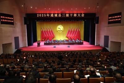 2025年通城县三级干部大会召开