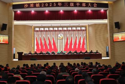 【落实全县三级干部大会精神】通城县沙堆镇：笃行不怠担使命  凝心聚力启新程