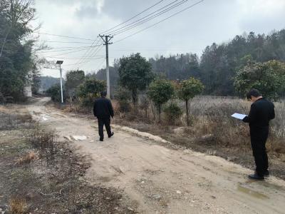 通城县沙堆镇：道路硬化勘察，铺展乡村新画卷