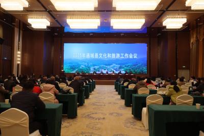 2025年通城县文化和旅游工作会议召开