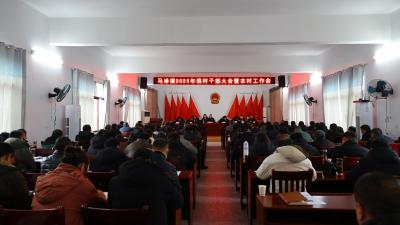 【落实全县三级干部大会精神】通城县马港镇：围绕“一猪一药二茶三米”特色产业 深入实施品牌强农战略