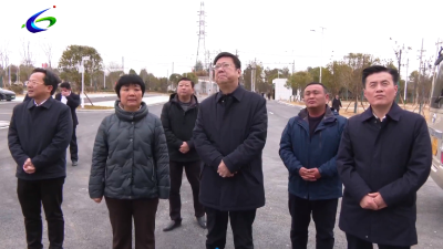 杨军到通城崇阳调研重大项目建设情况：抓项目 强服务 促发展