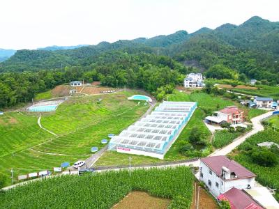 解码“春耕密码”：数字赋能+生态循环构建绿色农业新气象