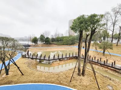 通城县秀水公园升级三期了 打造市民休闲新去处