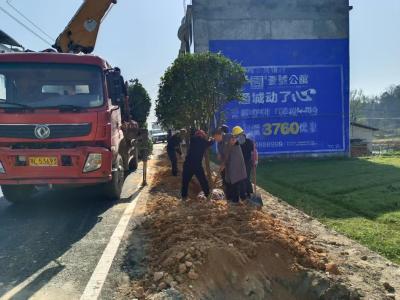通城县沙堆镇石冲村新时代文明实践站推进道路沿线绿化 扮靓乡村颜值