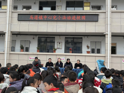 通城县马港镇中心完小与通城县人民法院共筑“法治第一课”