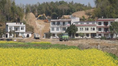  通城：353国道改扩建工程全面推进
