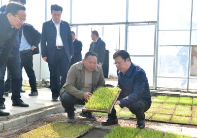 杨军在通城调研时要求 以新质生产力赋能县域经济高质量发展