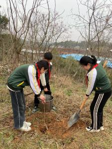 通城县隽水镇下畈完小：扎根绿色希望 共赴植树节之约