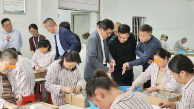 湖北省“323”精神卫生攻坚行动示范区工作进展汇报会在通城召开