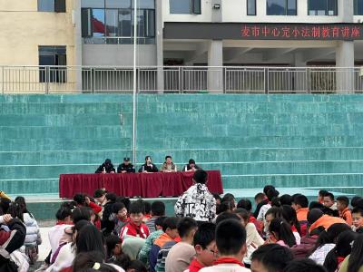 通城县麦市中心完小开展法治教育讲座
