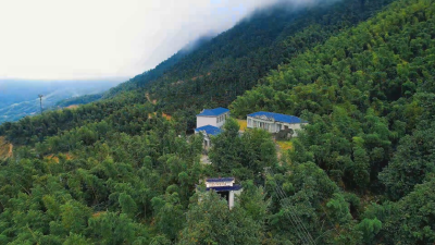 从 "住得下" 到 "住得好"：天岳度假村酒店今夏将全新亮相！