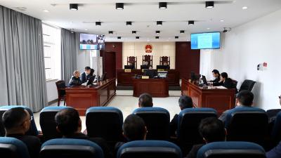 通城县司法局：让庭审成为依法行政的普法课堂
