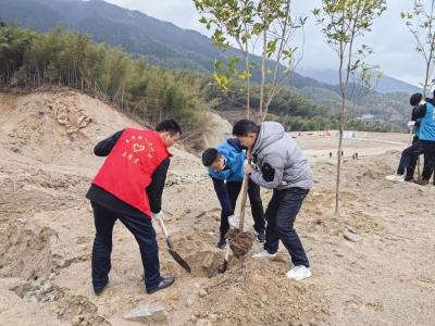 通城县麦市镇：植树护绿促共建 同心共融树新风
