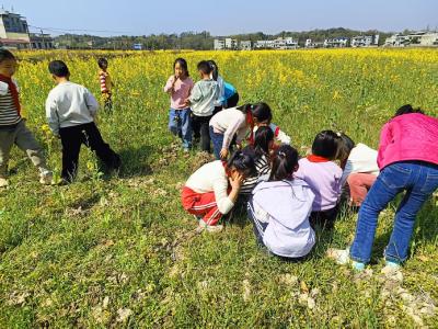 通城县沙堆镇天灯岭完小开展春日研学实践活动