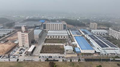 【聚力建支点 夺取“开门红”⑬】湖北惠祥电子：订单已排到今年7月份 力争全年实现销售额超2.5亿元