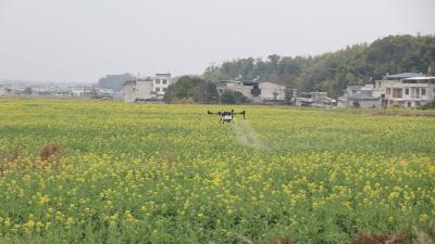 【春耕备耕正当时②】通城：无人机“上岗” 助力春耕备耕