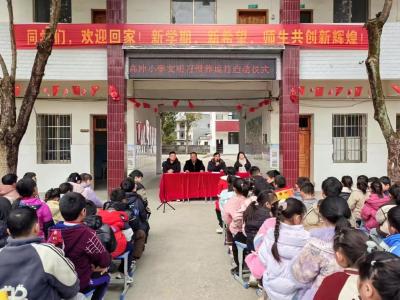 通城县关刀镇高冲小学：启航“文明习惯月” 共筑校园新风尚
