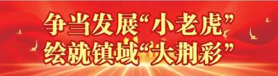 争当发展“小老虎” 绘就镇域“大荆彩” ​| 荆州经开区鱼农桥街道“领跑”的背后