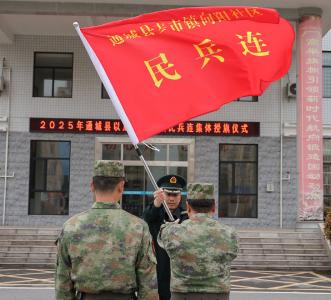 通城县举行2025年以点扩面村级民兵连集体授旗仪式