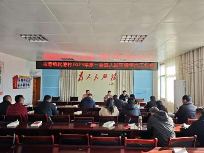 通城县马港镇松港村：卫生评比助力人居环境整治水平提升