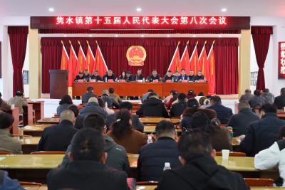 通城县隽水镇第十五届人民代表大会第八次会议召开