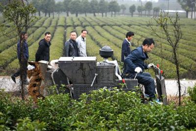 湖北通城：机械茶园管理助增收