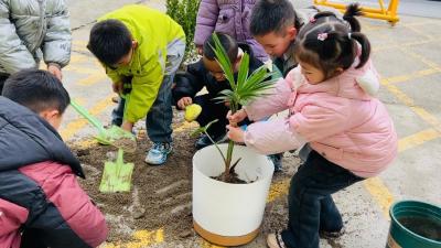 “植”此青绿 “树”你最棒丨通城县麦市镇中心幼儿园开展植树节活动