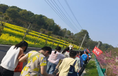 通城县石南镇花亭小学：开展“热爱自然，珍爱生命”春日踏青主题队日活动
