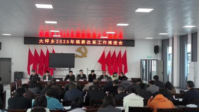 【移风易俗】通城县大坪乡：文明殡葬树新风
