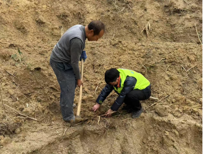通城县四庄乡：播撒绿色希望 共筑无毒未来