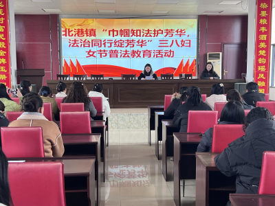 巾帼知法护芳华 法治同行绽芳华丨通城县北港镇开展三八妇女节普法教育活动