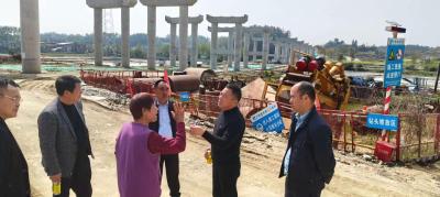 通城县四庄乡：代表督办纾民困 高速建设难题破局有方