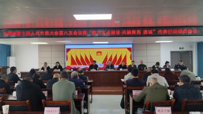 通城县五里镇“聚力支点建设·共建隽秀通城”代表行动动员会议胜利召开