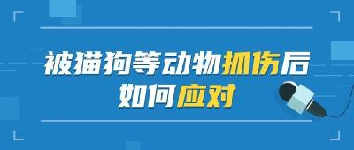 宠物打过疫苗≠你不会感染！被宠物抓伤后应该怎么办？