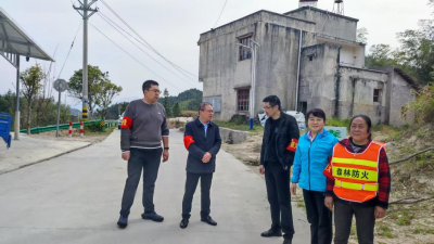 通城县麦市镇：护林防火不停歇 人大代表“筑”清明