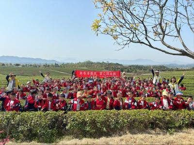 通城县沙堆镇中心幼儿园开展春日茶园研学活动