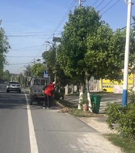 通城县沙堆镇：人居环境焕新颜 文明实践在行动
