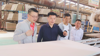 杨修伟深入企业走访调研