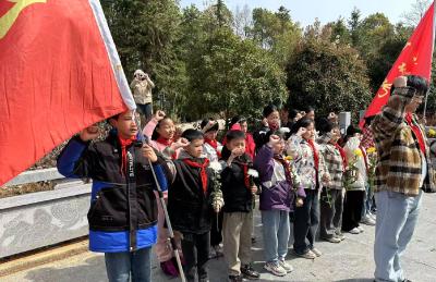 通城县大坪乡达丰完小开展清明祭英烈思政主题教育活动