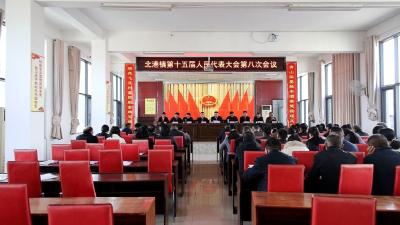 通城县北港镇第十五届人民代表大会第八次会议召开