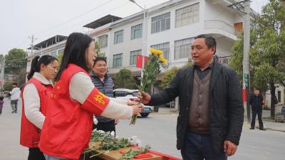 通城县关刀镇：清明祭扫用鲜花 文明新风吹万家