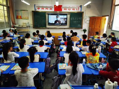 通城县大坪乡杨部小学开展第十个全民国家安全教育日系列活动