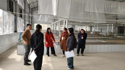 通城县大坪乡人大代表开展“聚力支点建设·共建秀美大坪”行动