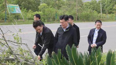 杨修伟督导检查强对流天气防范应对工作