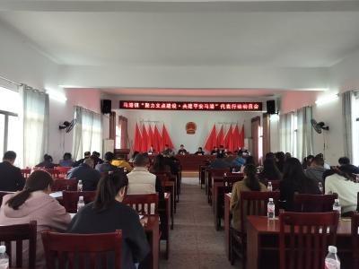 通城县马港镇：聚力支点建设 共建平安马港