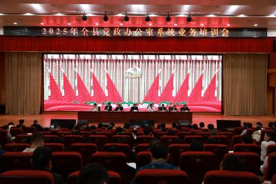 通城县召开2025年党政办公室系统业务培训会