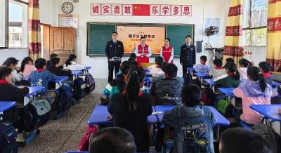 通城县大坪乡达丰完小开展国家安全教育日思政主题活动